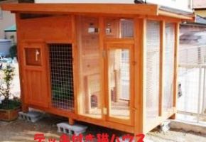 2・3匹の猫ハウスです。